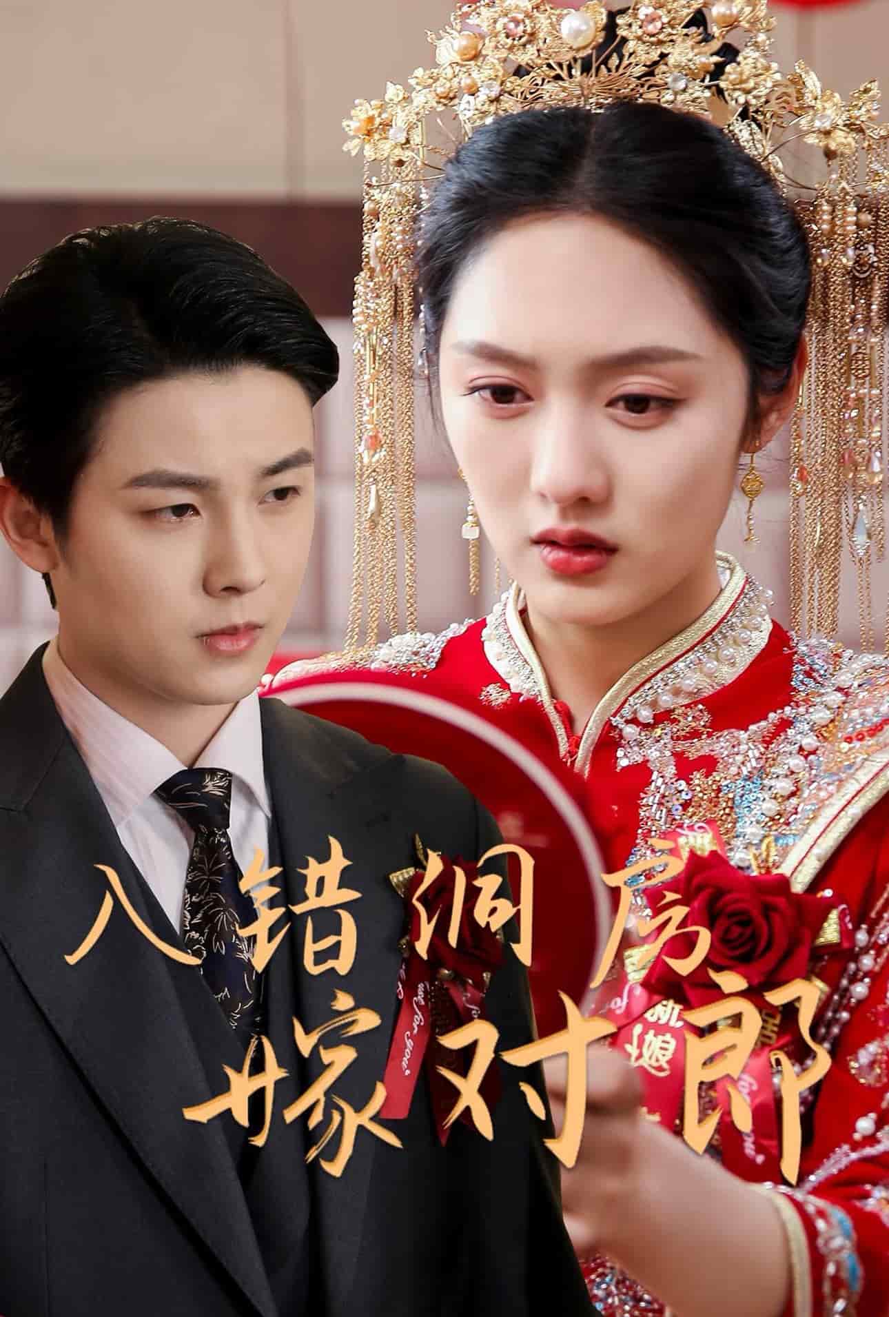 入错洞房嫁对郎(全集)