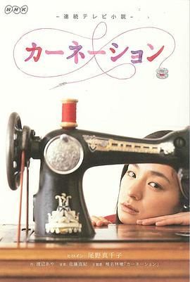 康乃馨第81集