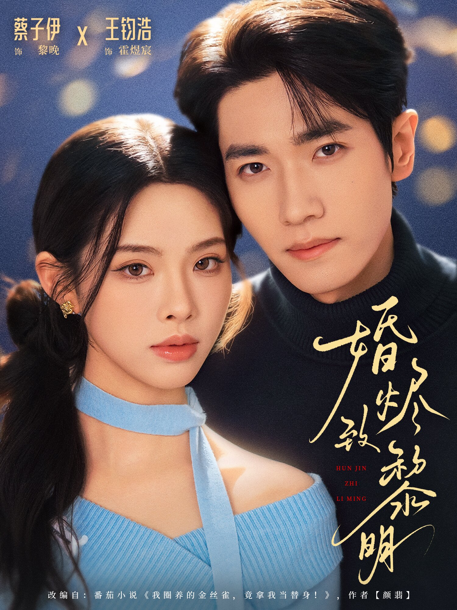 婚烬致黎明(全集)