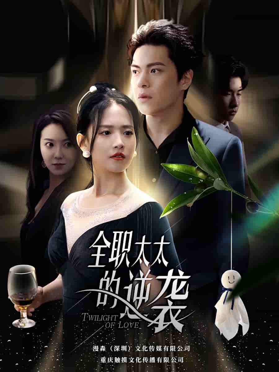 全职太太的逆袭第16集