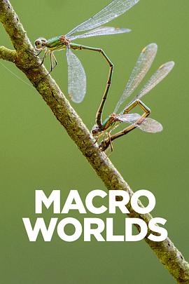 宏观世界2017(全集)