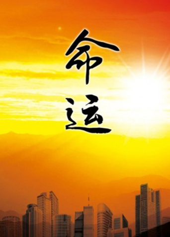 命运1999第07集