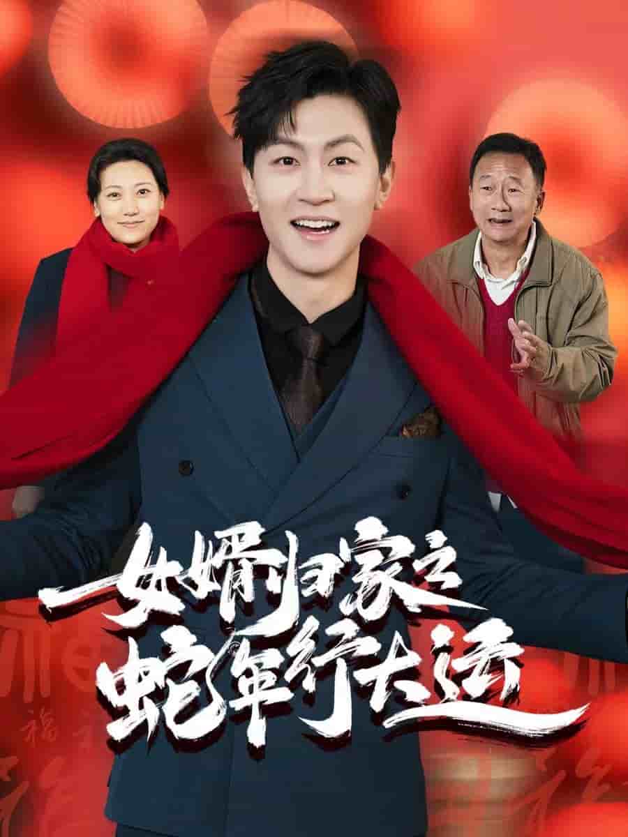 女婿归家之蛇年行大运(全集)